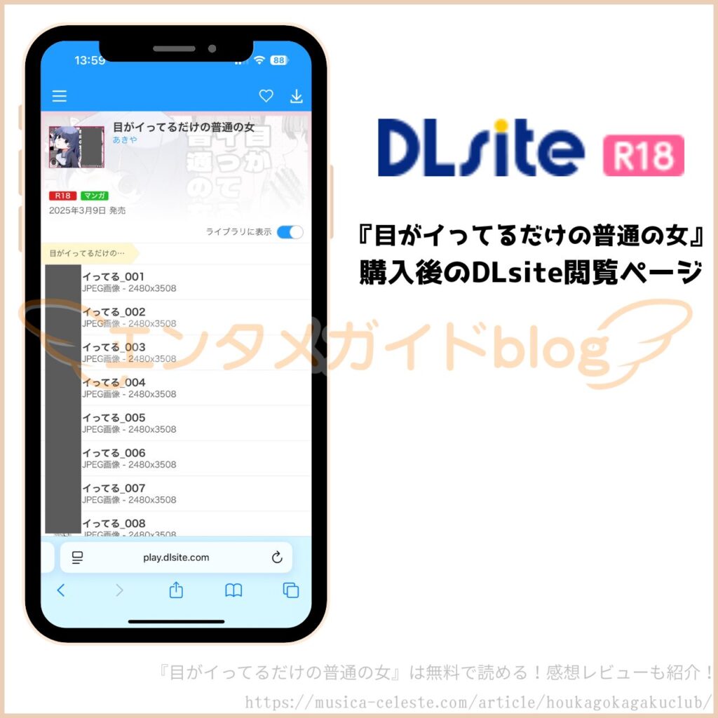 目がイってるだけの普通の女 購入証明