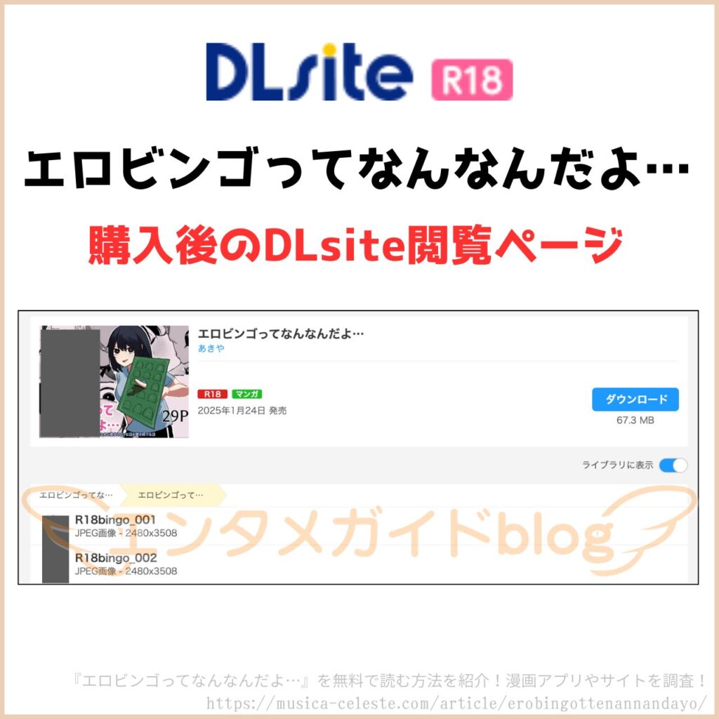 エロビンゴってなんなんだよ… 購入証明