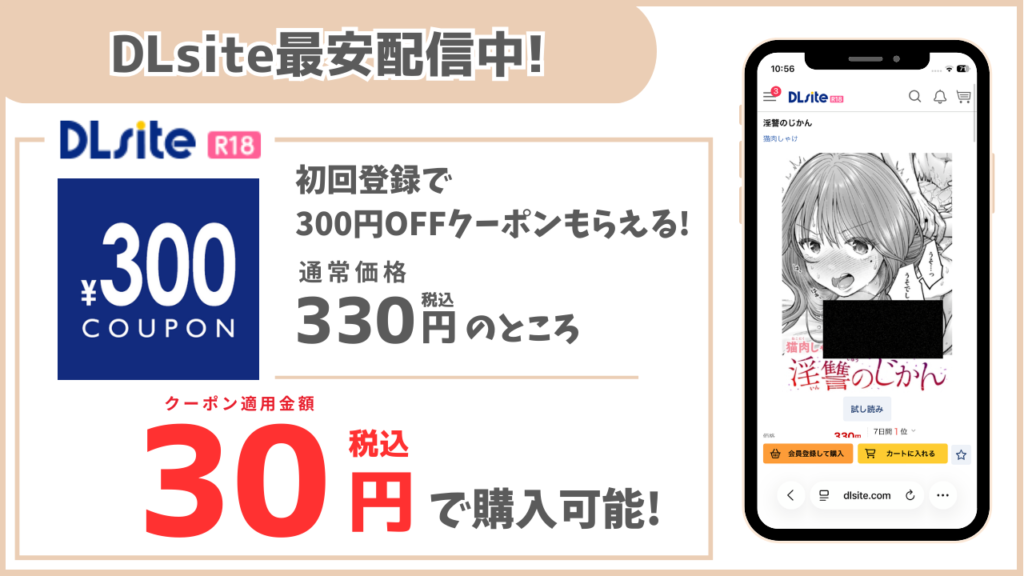 淫讐のじかん DLsite